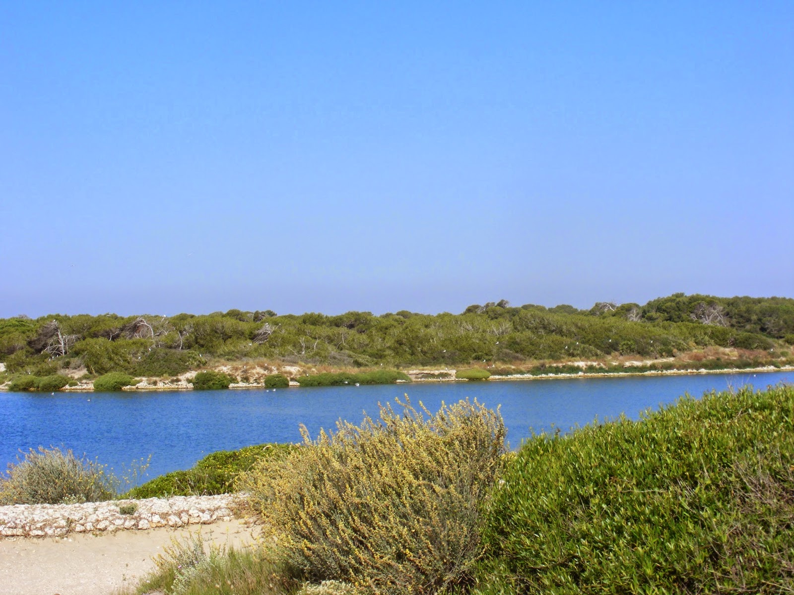 Fotos que me gustan Todas están hechas por mi El lago artificial de
