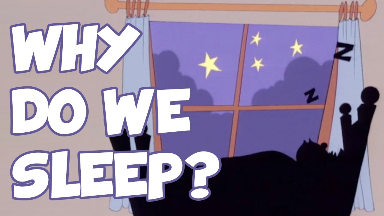 Why we sleep. Why we sleep book. Are we need или do we need?. I need animated picture. Audrey pirault.