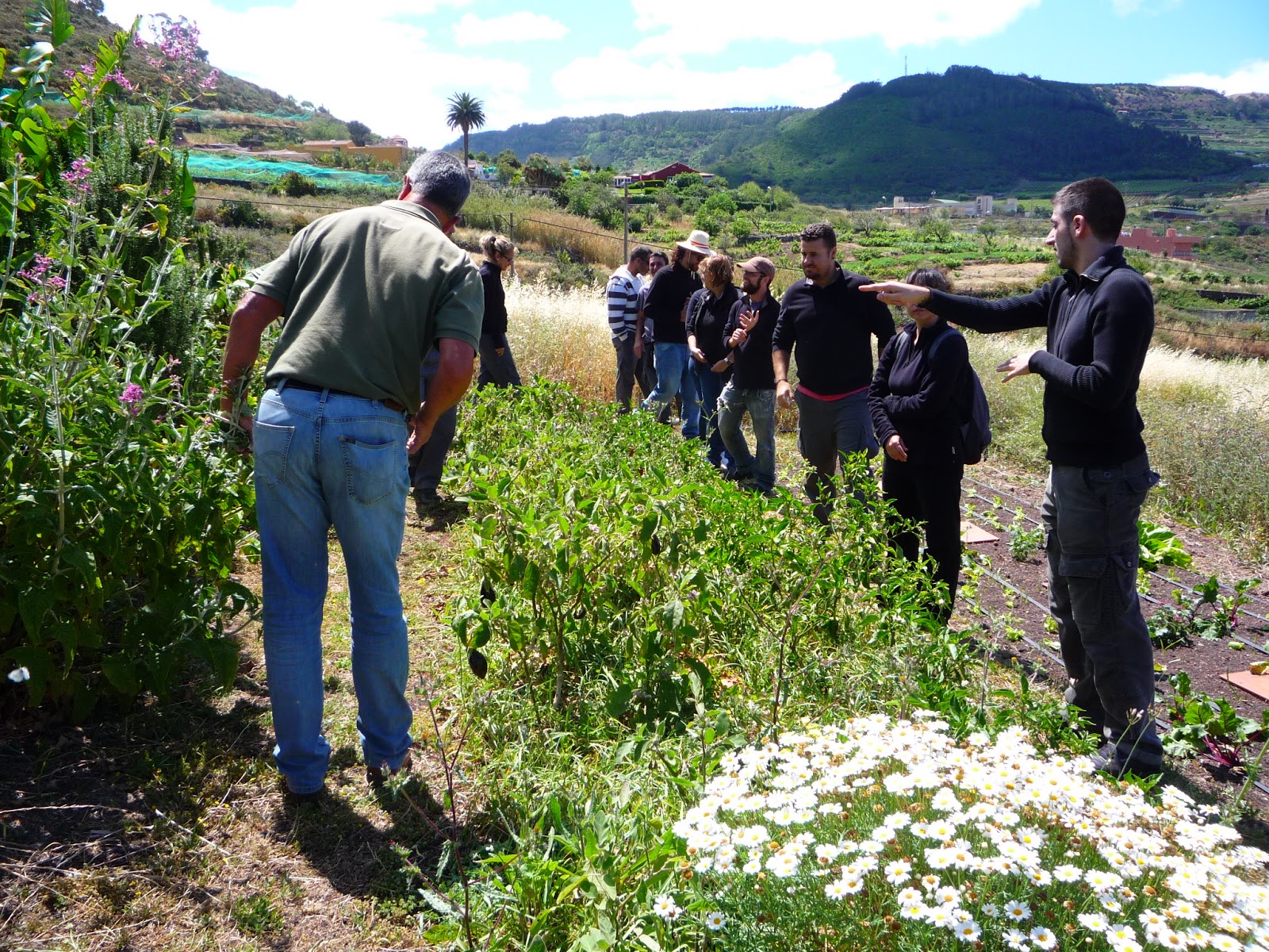 Finca Ecol gica El Pil n 28 De Abril De 2013