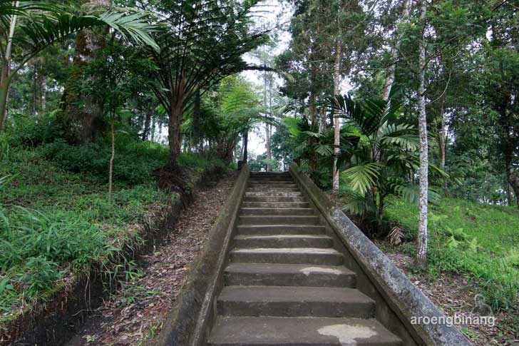 puri taman saraswati karanganyar