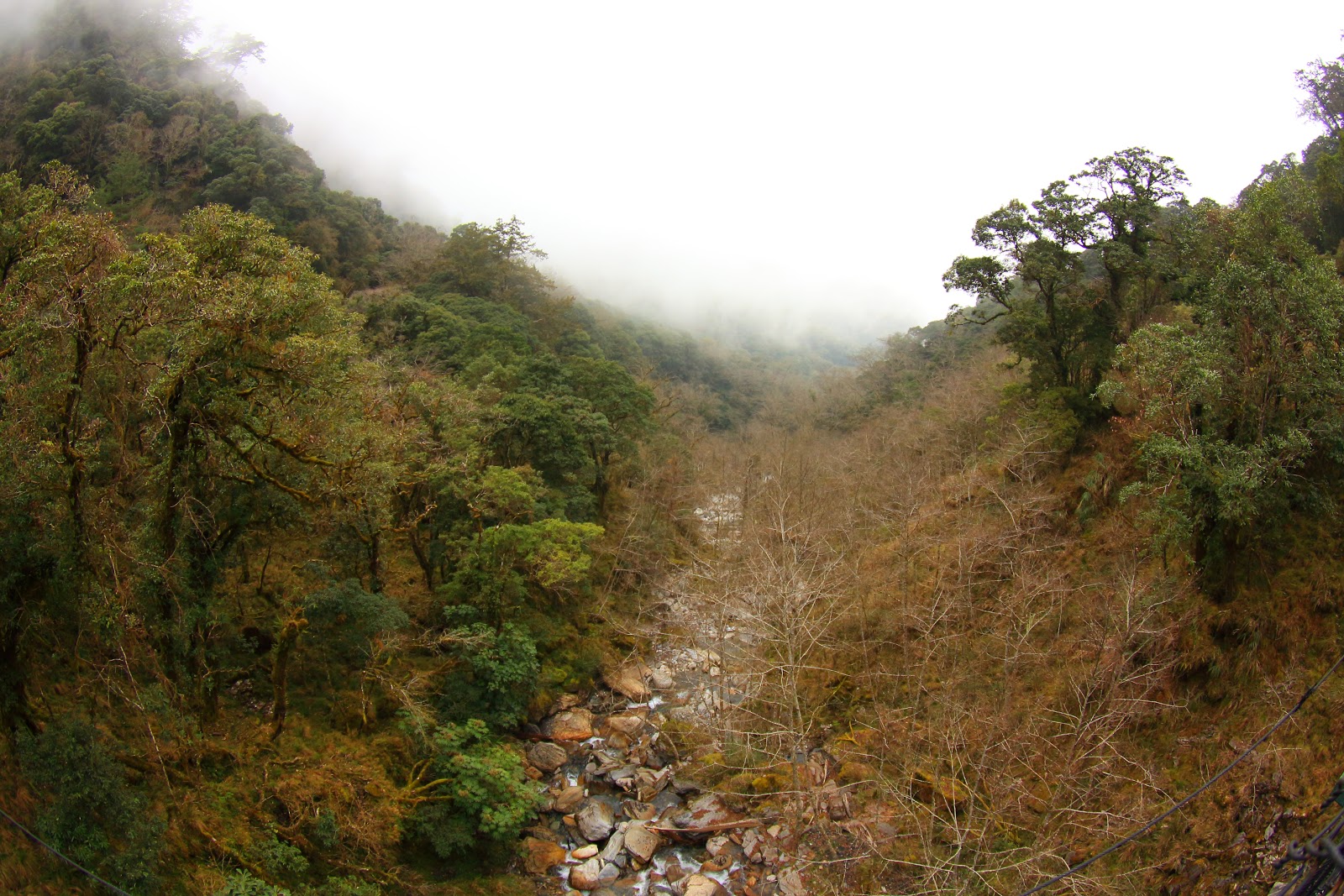 抱崖山屋前溪谷