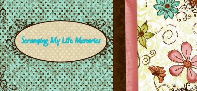 Scramping My Life Memories