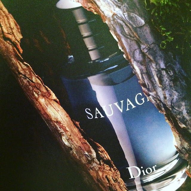 dior sauvage eau de parfum