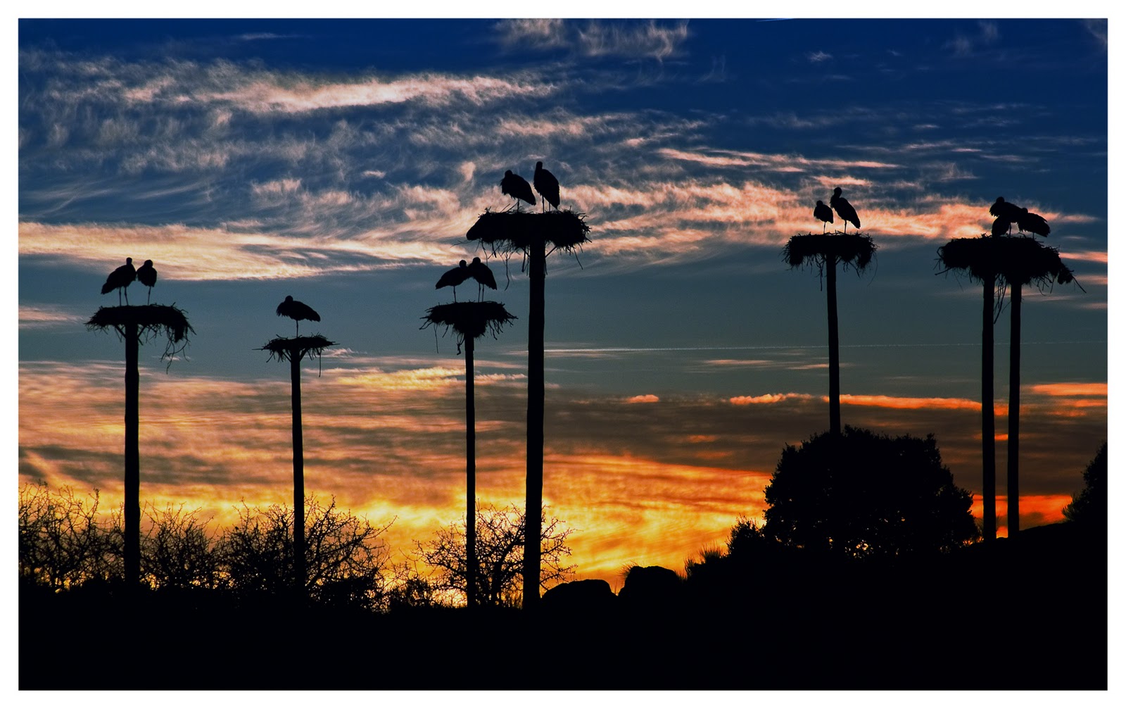 chimenea y recien nacido el blog de la loles independiente 2 los bebes que trae la chimenea y recien nacido el blog de la loles independiente 2 los bebes que trae la