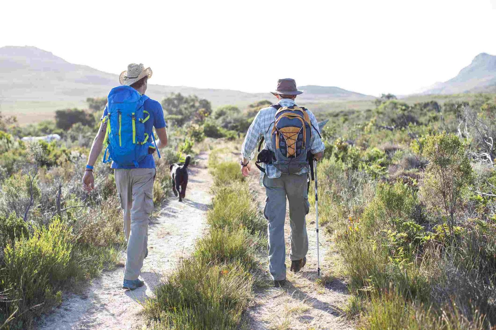 Go on a Hiking Excursion