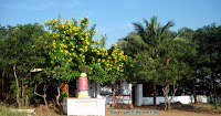 Ramachandi Temple, Chatrapur, Ganjam, Temples in Ganjam