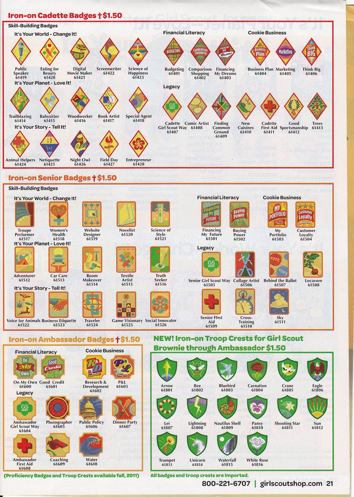 Girl Scout Troop 2447 New Badges