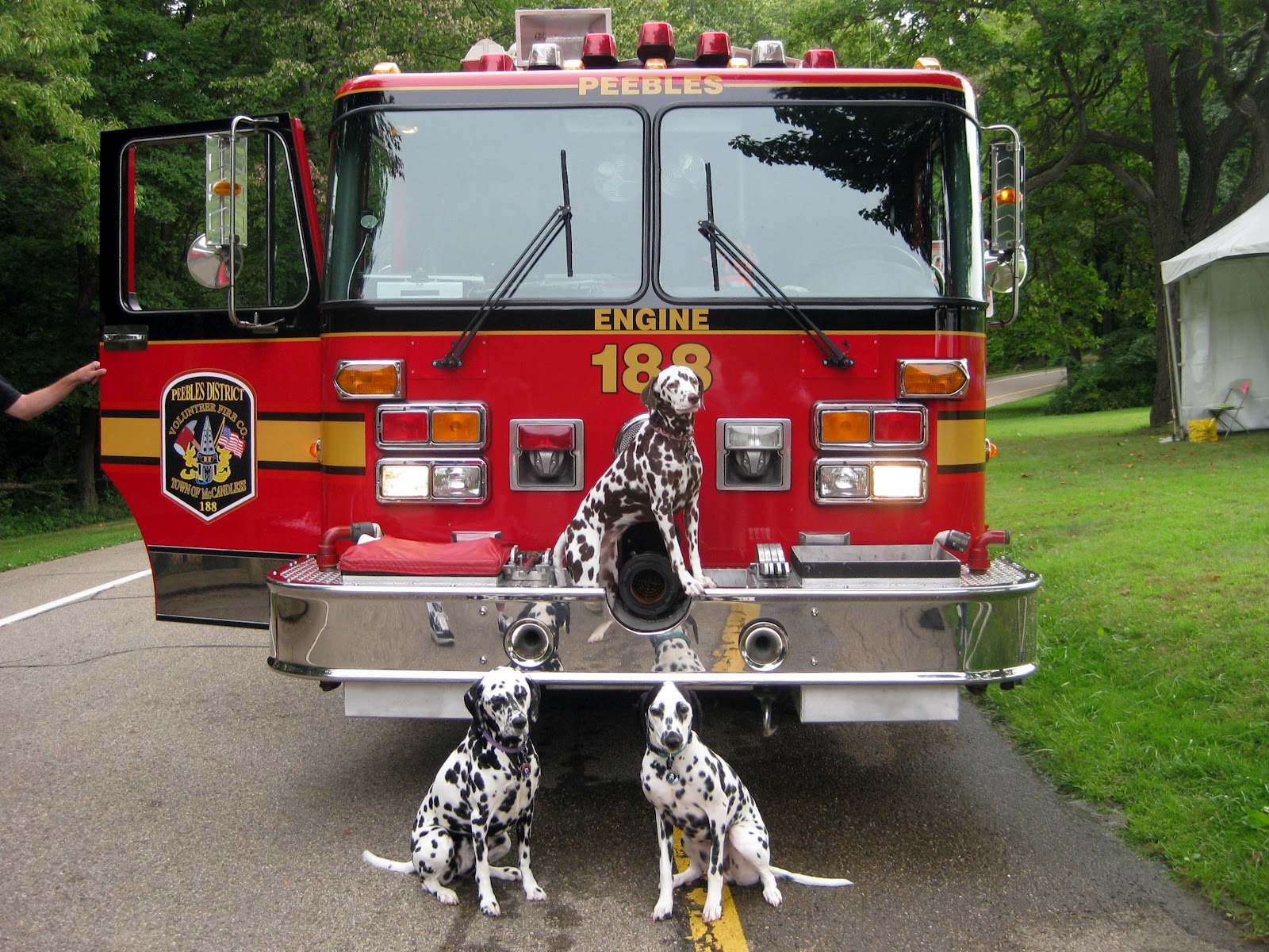 Fire Engine Sounds For Dogs : Fire engine button (choose your vehicle