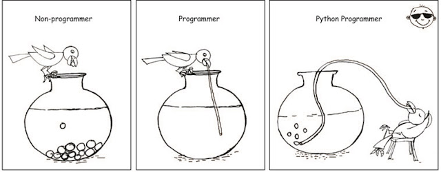 why every programmer should learn python