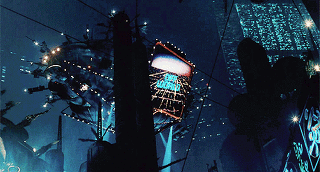 9.gif