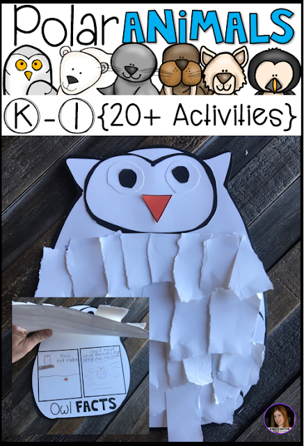 Snowy Owl Facts Craft