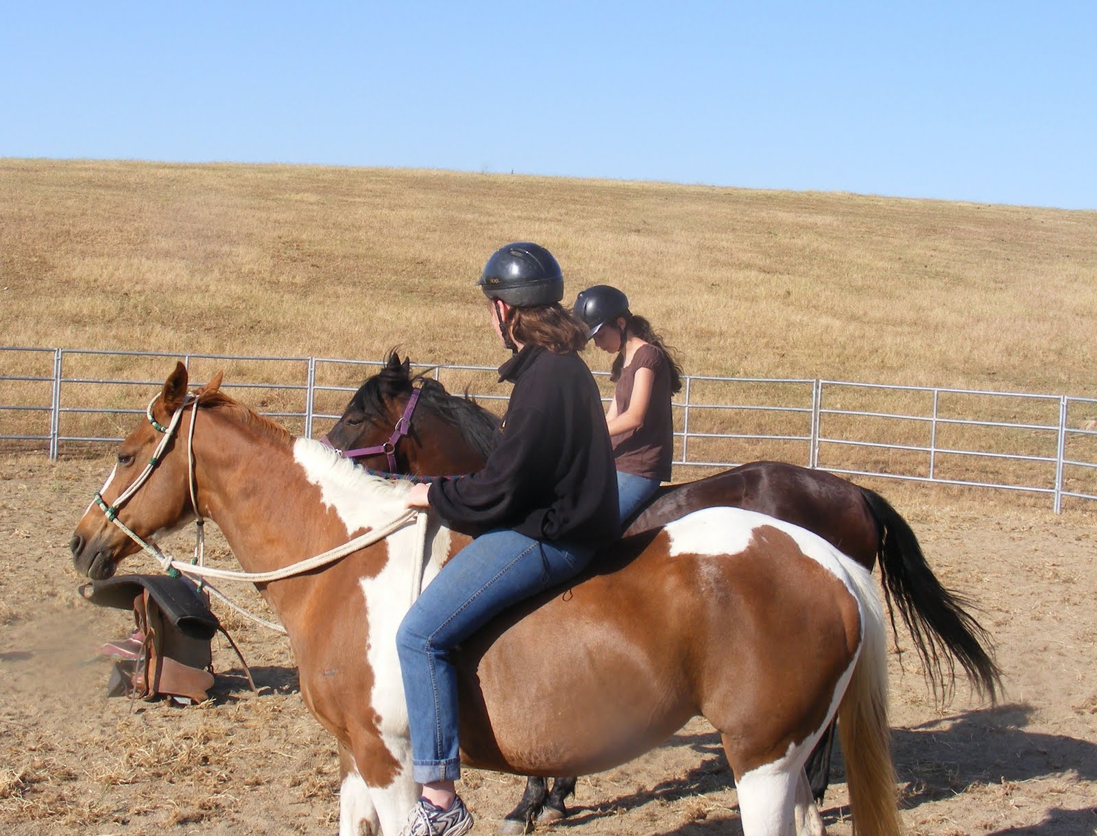 Lone Oak Rescue Horse Rescue & Rehabilitation new happenings and pictures