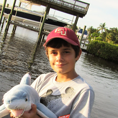 nurse shark stuffed animal