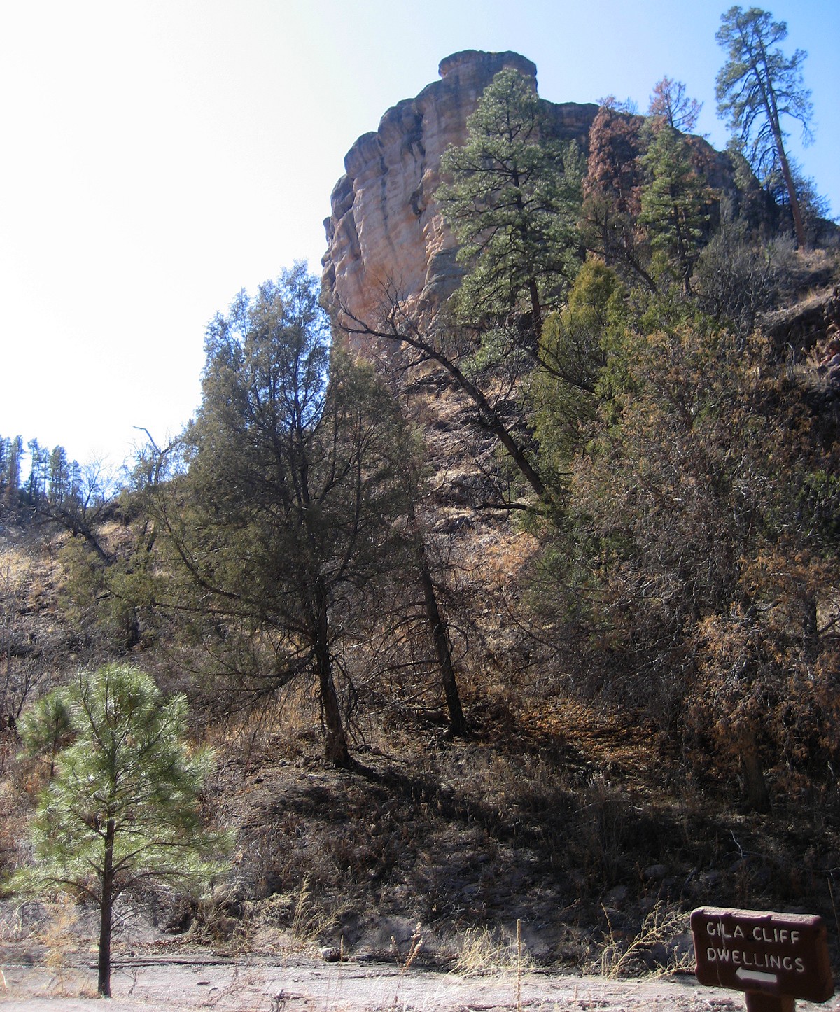 Living Rootless Gila National Forest, NM Gila Cliff Dwellings