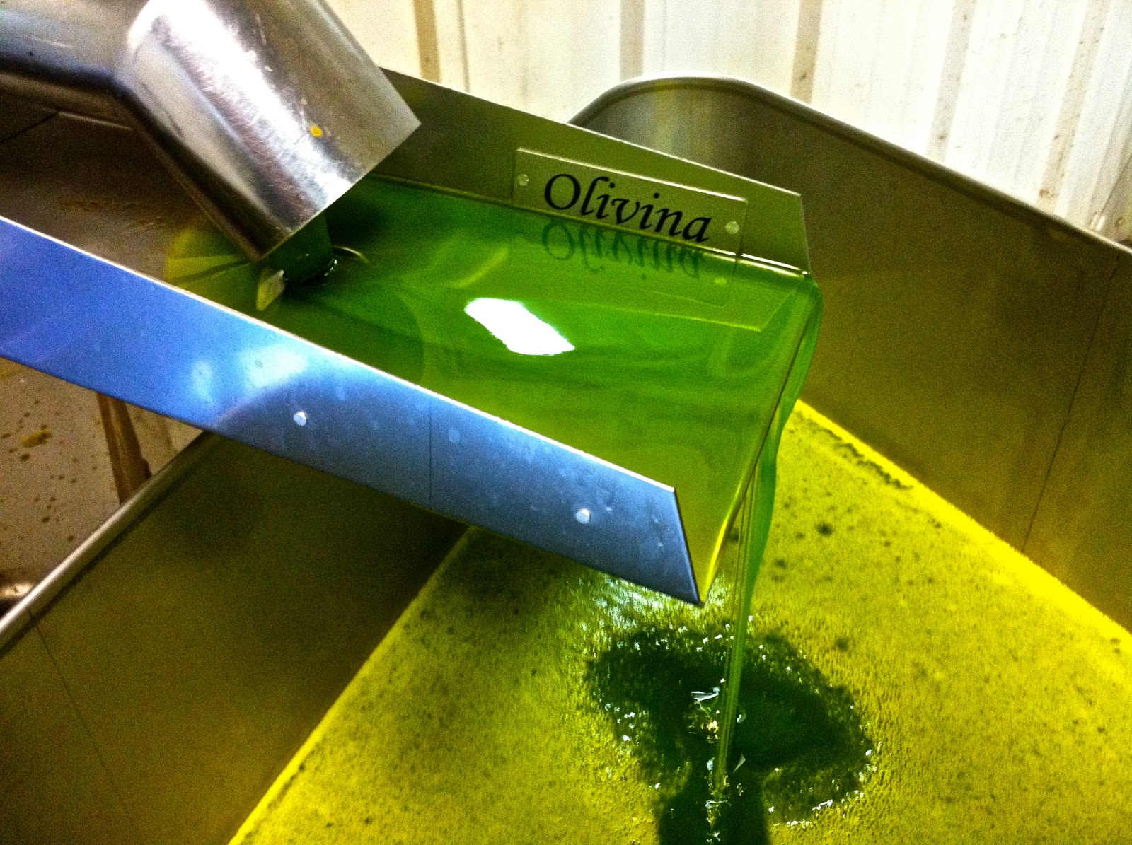 Mike Ahmadi's Gastronomic Musings Livermore Community Olive Pressing