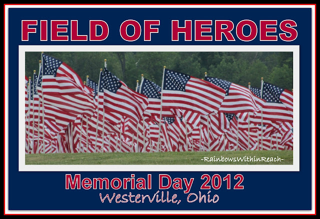 photo of: Field of Heroes: American Flags honor Memorial Day