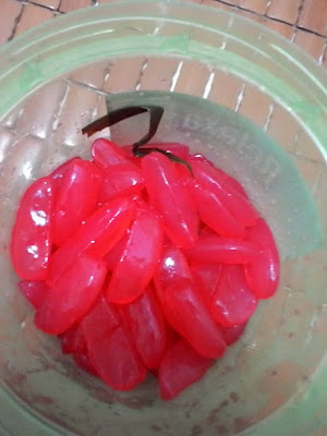 Resep Manisan Kolang Kaling Merah Cocopandan Paling Enak Resep Manisan Kolang Kaling Merah Cocopandan Paling Enak resep aneka manisan kolang kaling sirup empuk dan kenyal resep kolang kaling cocopandan mudah dan praktis resep manisan kolang kaling cocopandan sederhana dan tahan lama
