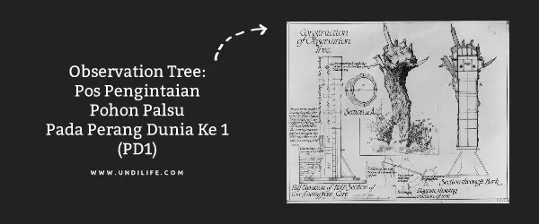 Observation Tree: Pos Pengintaian Pohon Palsu Pada Perang Dunia Ke 1 (PD1)