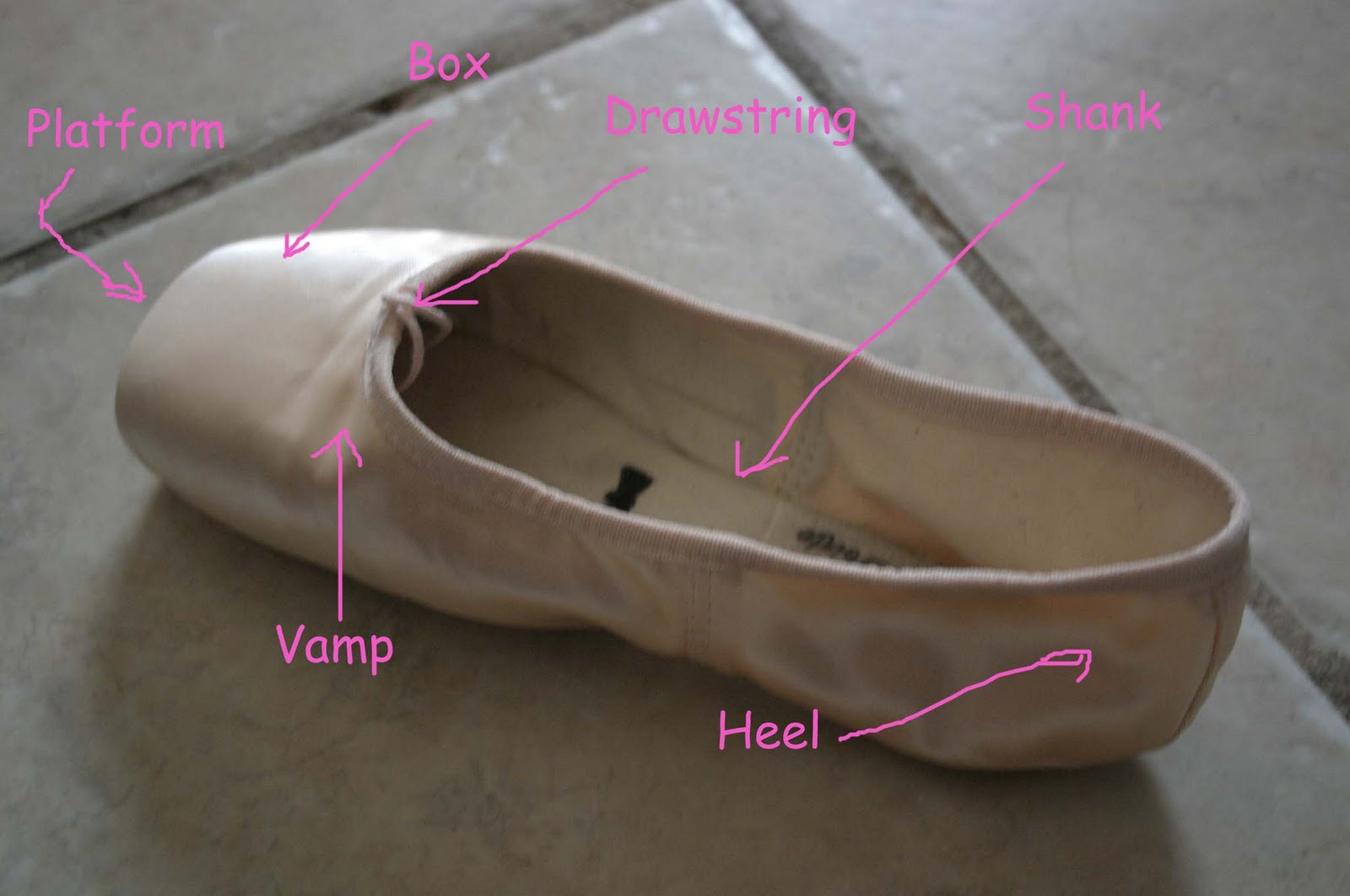Ballet and Bento Pointe Shoe 101 The Parts Of A Pointe Shoe