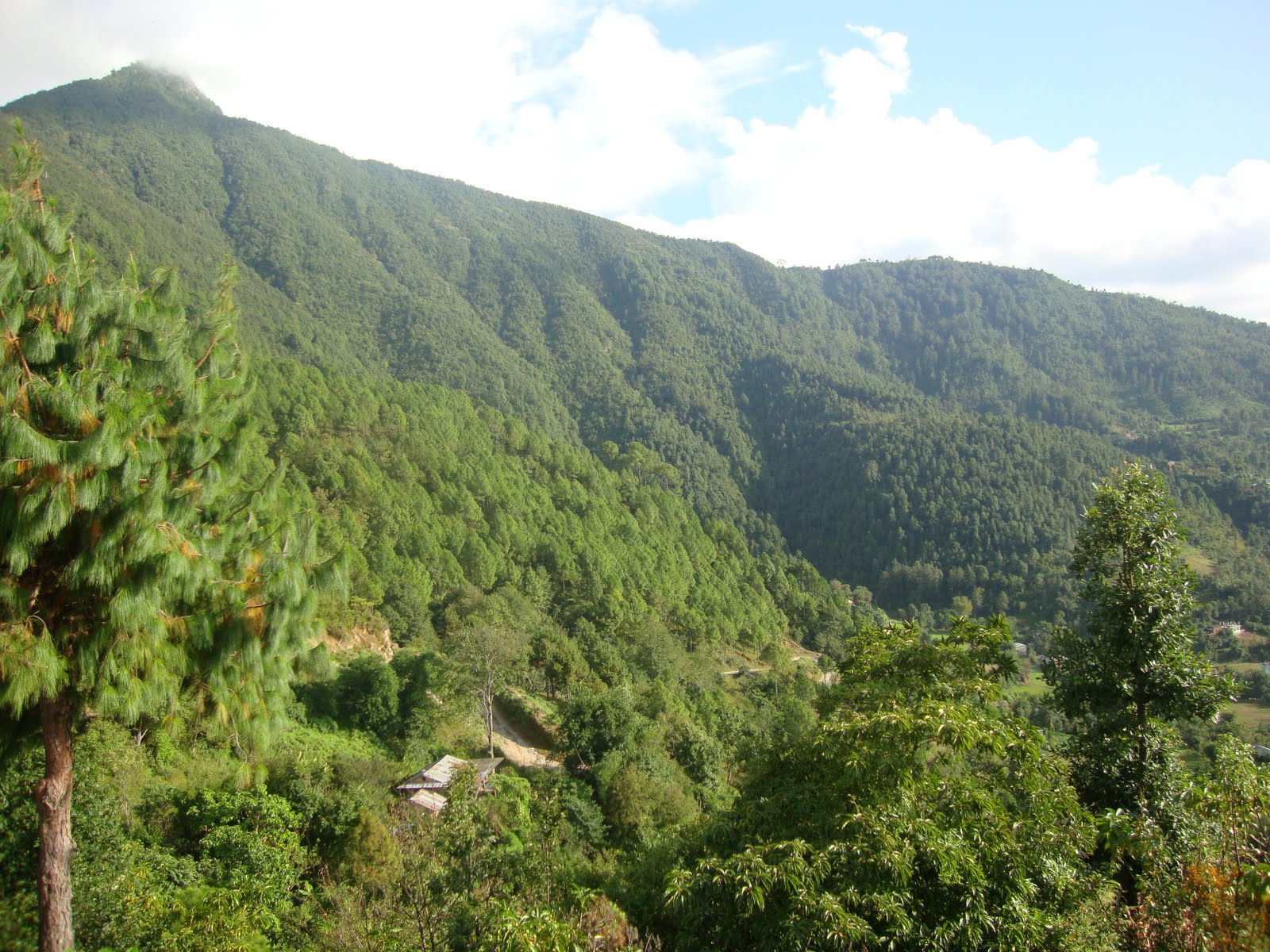 See My Nepal  Photo Blog Resunga View Resunga Forest  of 