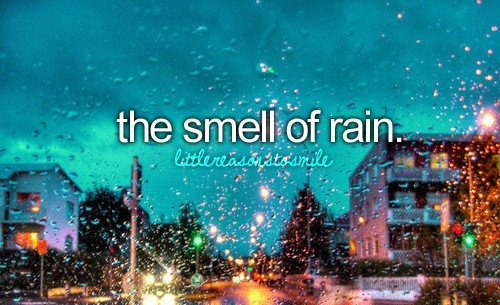  Smell of Rain