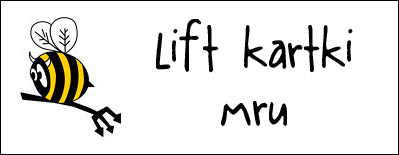 http://diabelskimlyn.blogspot.com/2015/03/lift-kartki-mru.html