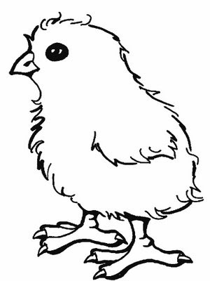 Line Drawing :: Clip Art :: Chick