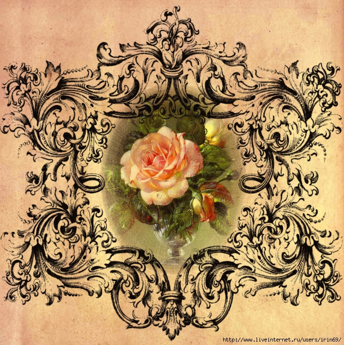 Роза Винтаж Картинки – Telegraph