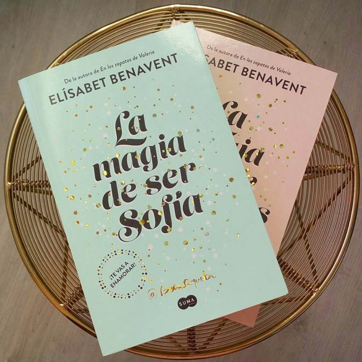 Libro: "La magia de ser Sofía" y "La magia de ser nosotros" de Betacoqueta. No puedo escoger sólo uno porque uno es la continuación del otro.