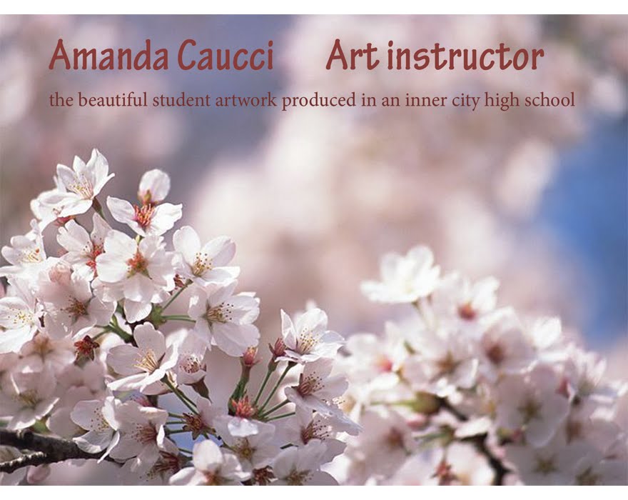 Amanda Caucci                       Art Instructor