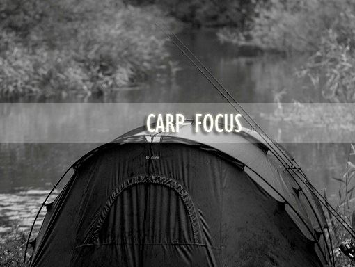 Carp-Focus
