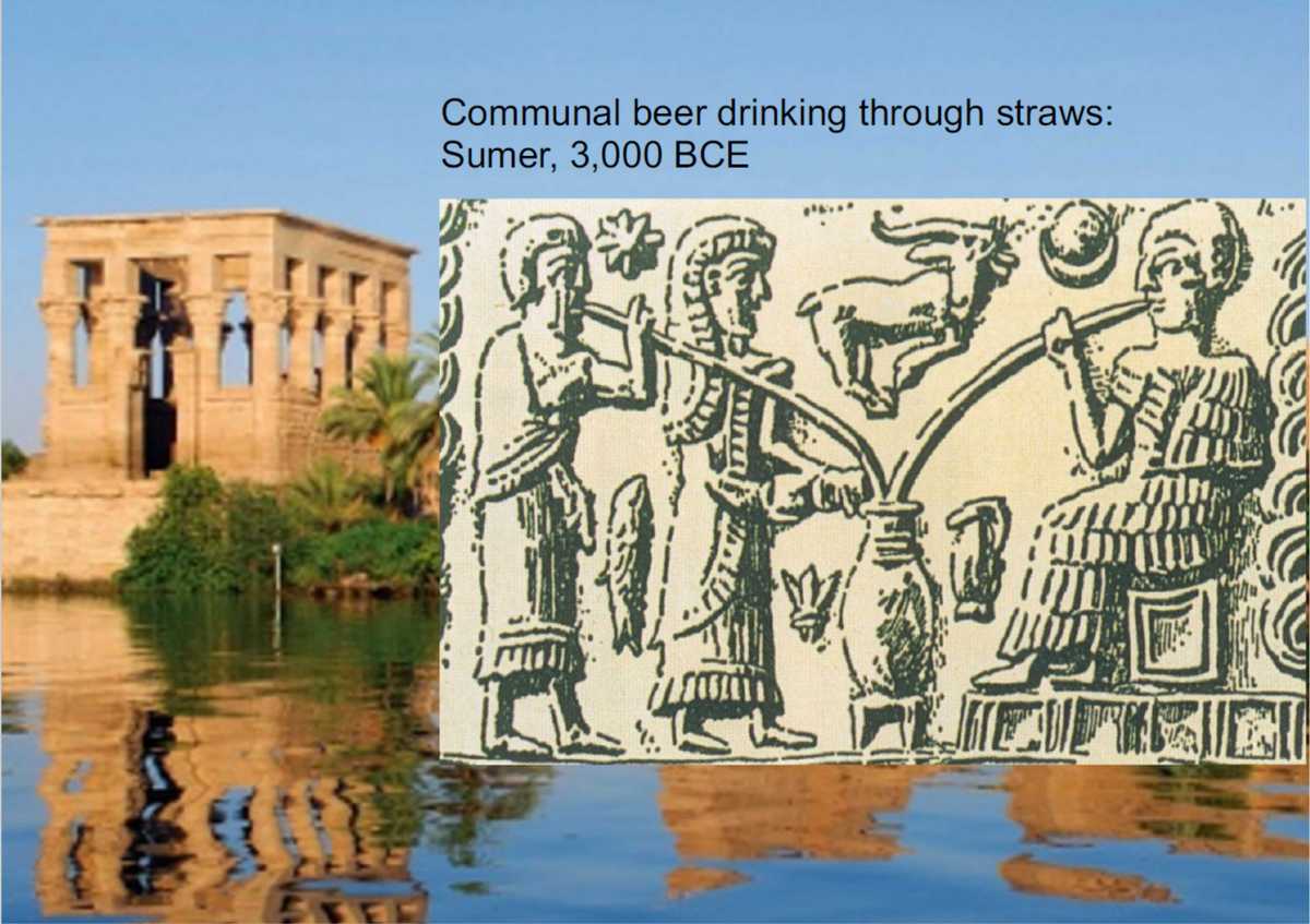 2019 year - Evidence of Beer-making Found in Epic Ancient Egyptian Ruins 2019 year