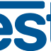 NEstle BCG Matrix