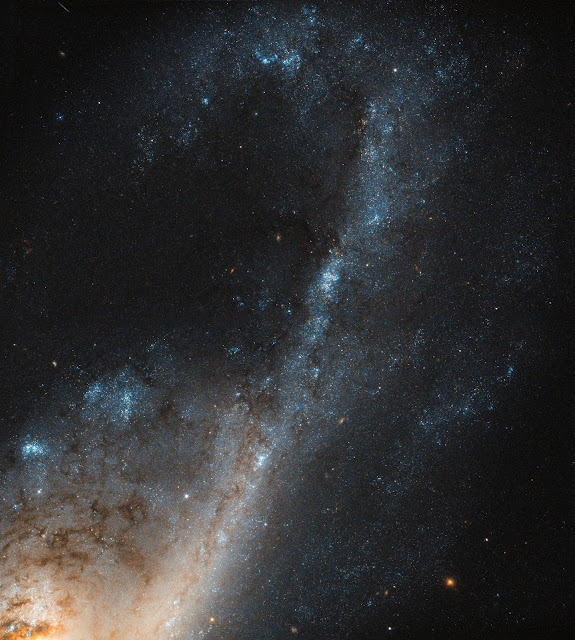 Spiral Galaxy NGC 4536