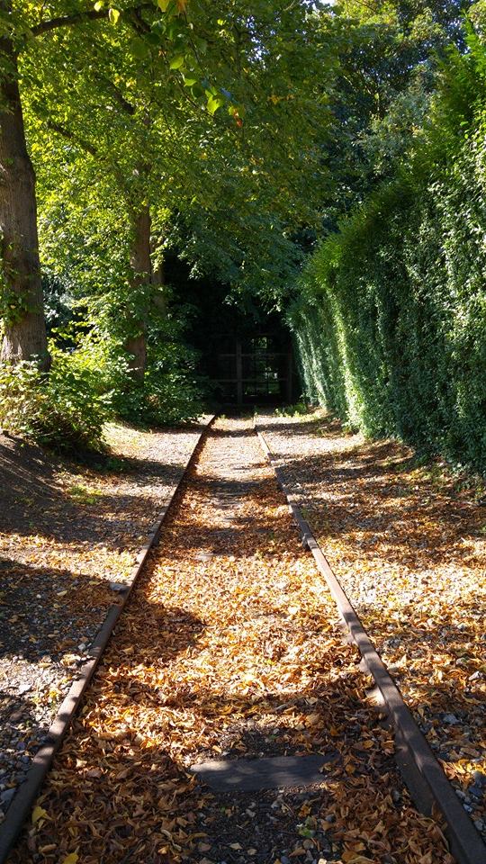 Tunnel through Ramparts 2015