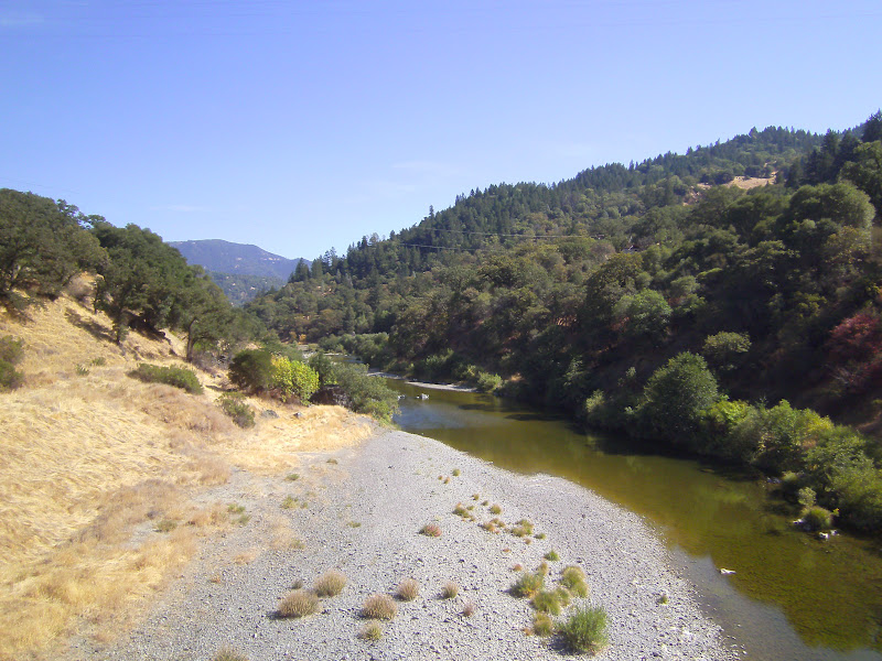 Tales From the Trails Tallest Valley Oak Covelo, CA
