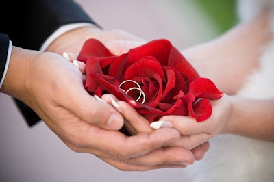 صور ورد, خلفيات ورد, صور ورود, اجمل ورد