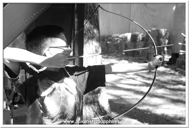 The Archer's Field at King Richard's Faire 2015 #krfaire