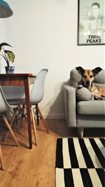 mieszkanie pani króliczek, salon, ikea, salon w stylu retro, salon w stylu skandynawskim, komoda prl, komoda z lat 60, ikea dywan, szara sofa, sofa pure agata meble