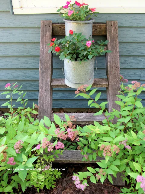 Photo of a rustic ladder with minnow bucket planters