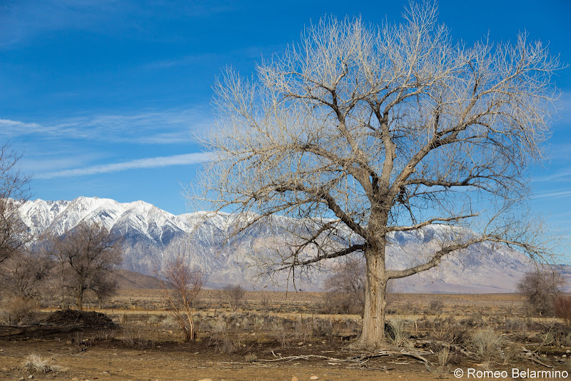 Bishop California Things to Do in Bishop California