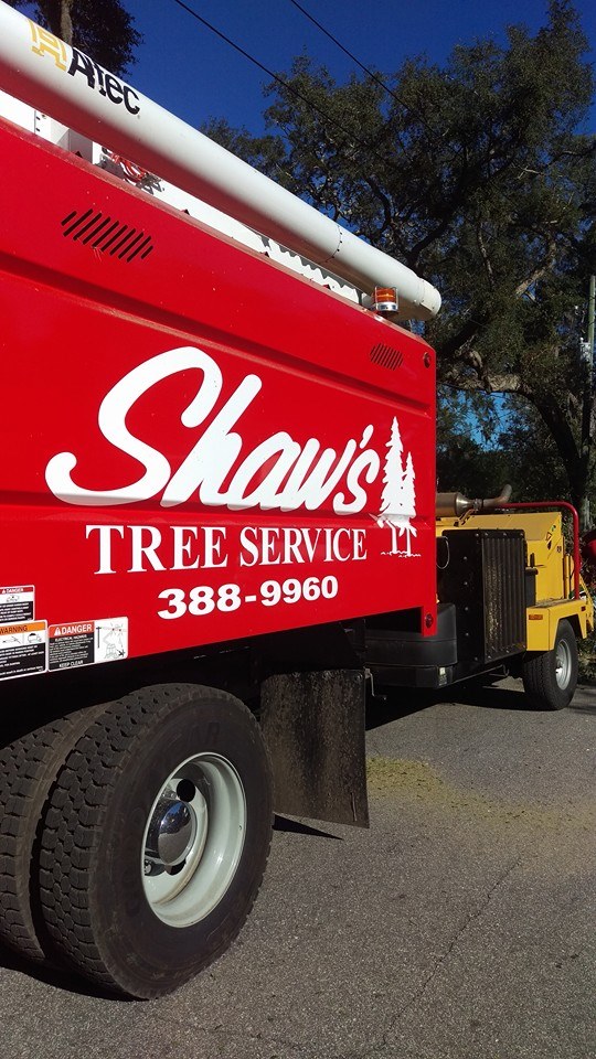MEC&amp;F Expert Engineers Worker driving a Shaw�s Tree