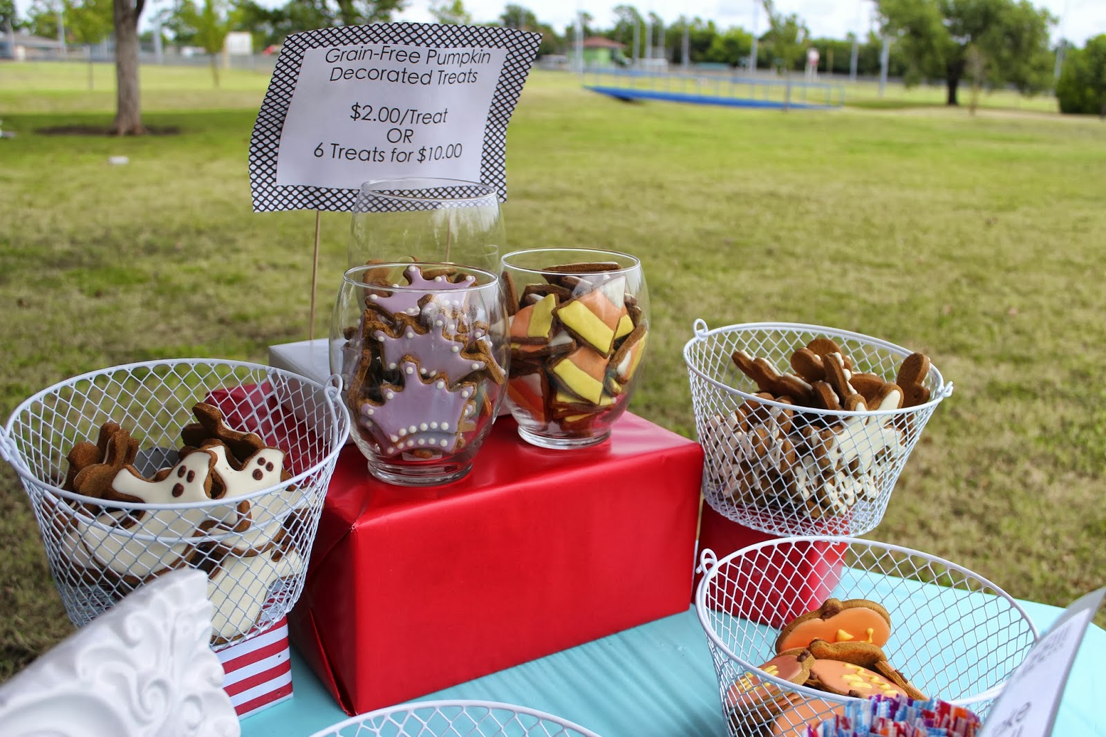 my-dog-treat-vendor-display-treat-dreams-are-made-of-this