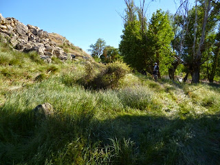 Tramo de senda. GR-163