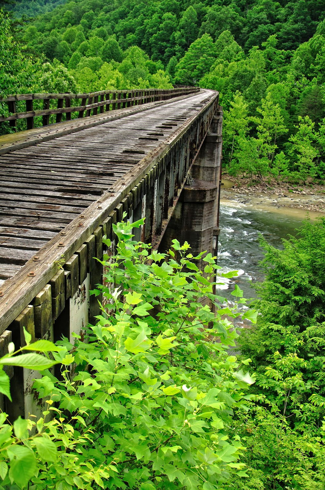 Discover West Virginia Adventures for Hikers on the Gauley River A