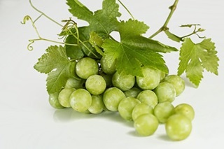 grapes-stafilia grapes-stafilia