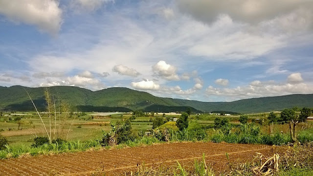 The unique plateau in Vietnam should come at least once 6