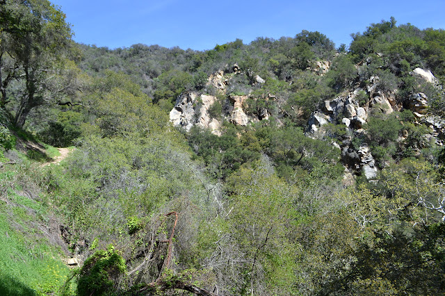 dry high canyon rocks