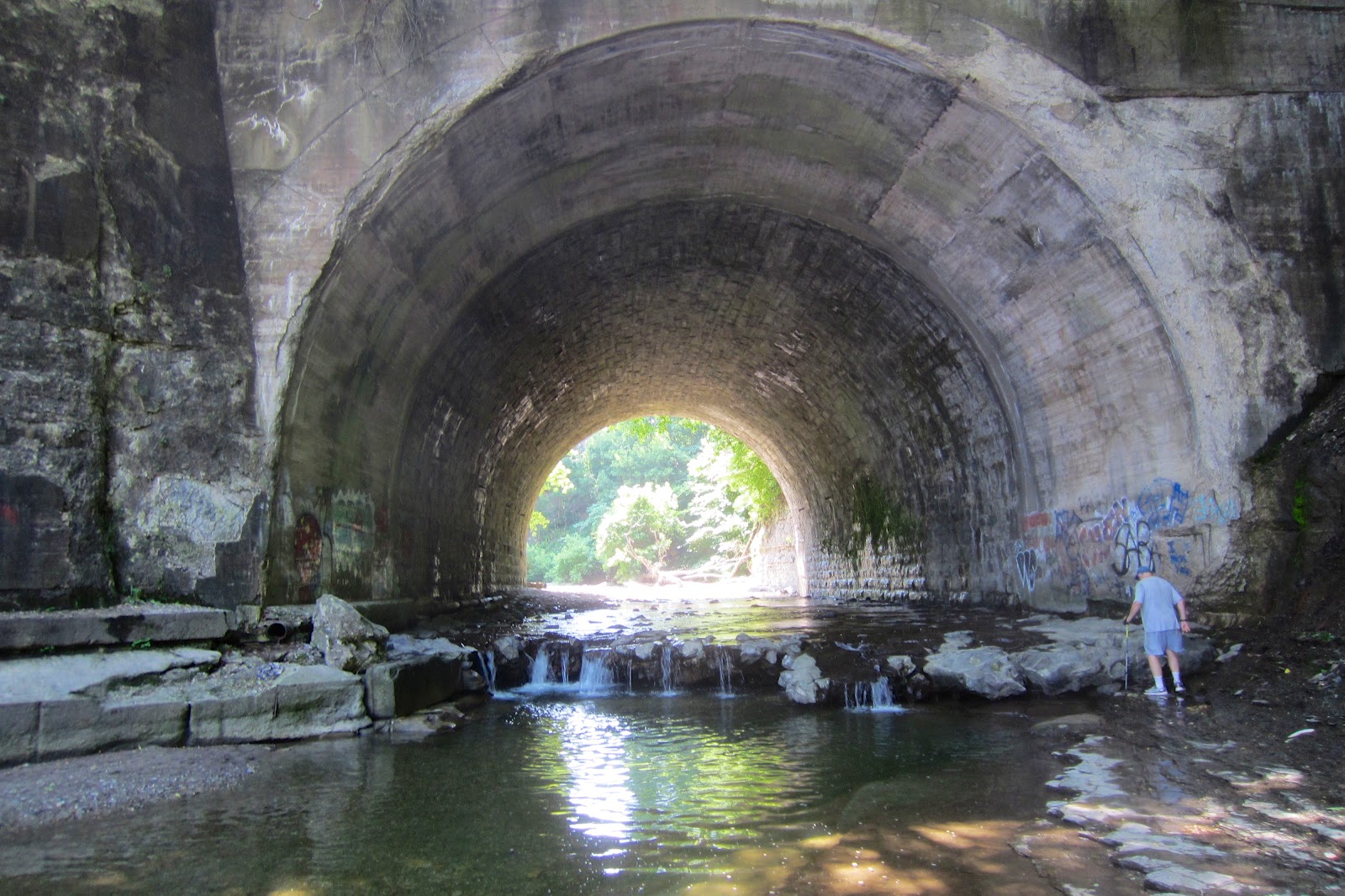 EARLY RISING ON CHAUTAUQUA LAKE Walking Chautauqua