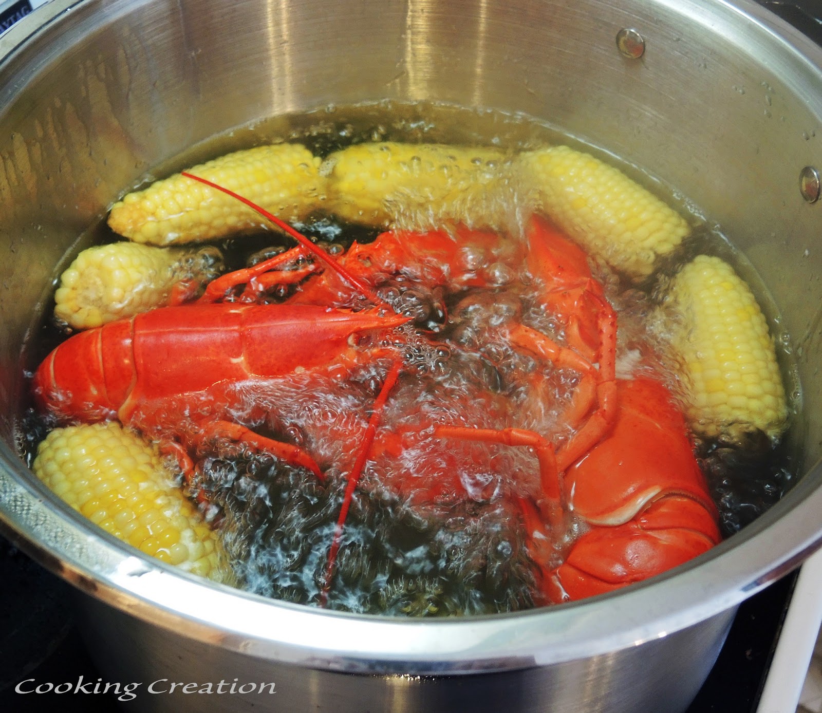 Cooking Creation Boiled Lobster & Corn on the Cob